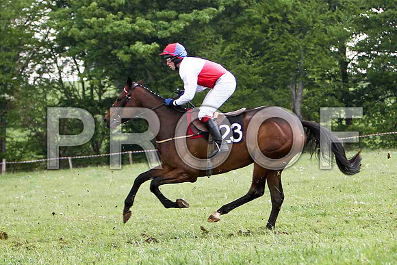 Redbridge Lady , PU, Jockey G L Murphy - FT8E2578-e