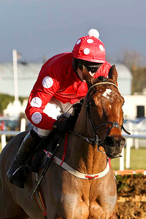 William Wordsworth 11th, Jockey M Darcy - FT8E9935-e