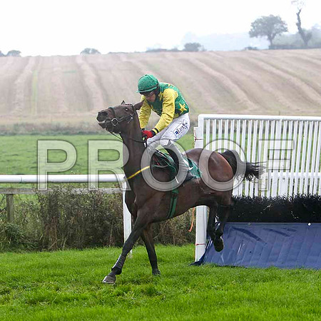 He's A Delight - Winner , Jockey D J Condon - FT8E5228-e2