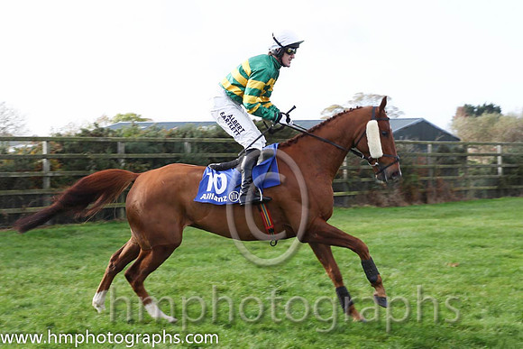 16 Dear Boss & A P McCoy - 16th (10, emerald green and orange hooped) - CU2D8916-25
