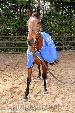 Hidden Horizons winner of the Toals bookmakers Ulster Grand National at Downpatrick -CU2D1471-Edit-45