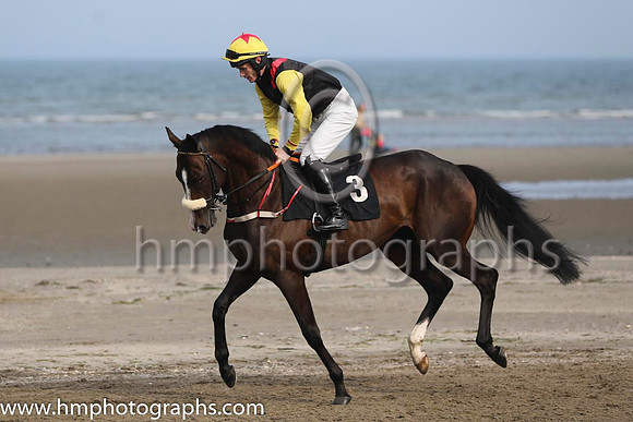 1 Prince Jock and Mr R P Quinlan - - 1st (3 ,black, red epaulettes ) Trainer - John Patrick Shanahan