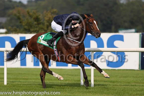 01 John F Kennedy and J P O'Brien - - 01st (5 ,dark blue ) Trainer - A P O'Brien