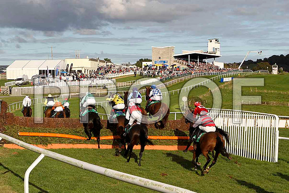 Racin in the sun at Downpatrick Race Course - FT8E4437-e