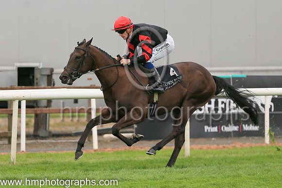 01st Ocean Jewel (4 , black ) Jockey: W J Lee , Trainer: W McCreery