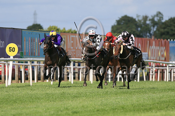 01st Wild Shot (3 black and white diamonds ) Jockey: Siobhan Rutledge5 , Trainer: John C McConnell