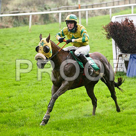 Thistimesforgood , U -  Jockey M J ferris - FT8E5377-e