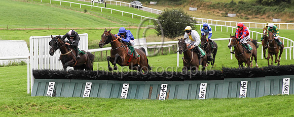 01st Give Him Time and D N Russell ( 5 , blue, yellow stags head ) Trainer - G Elliott , Owner - Gordon Elliott