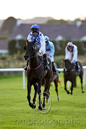 Lady Lyrath & J F Egan - 6th (15, royal blue and white check) - CU2D3465-e