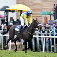2010/12/30th - Race 6 - Down Royal - Irish Thoroughbred Breeders Northern Region Chase of 7,000 Euro
