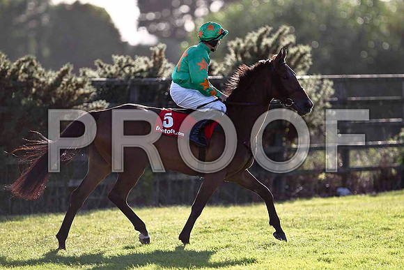 Baily View PU, Jockey R C Colgan - FT8E1061-e