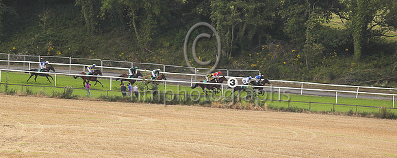 Racing down the hill at Downpatrick Races