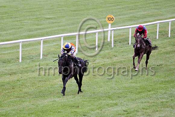 Mister Nibbles & Mr S Crawford - winner (21, orange, royal blue star) -  - FT8E5474-e