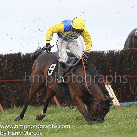SHIPWRECK and N McParlan ( 9 , ROYAL BLUE  YELLOW HOOPS; yellow sleeves; yellow cap ) Trainer: C.A. McBratney , Owner : Templeburn Racing Syndicate