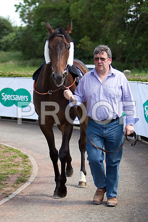 The Rossmeister (3), Jockey D M Grant 8th - CU2D0269-e3a4j