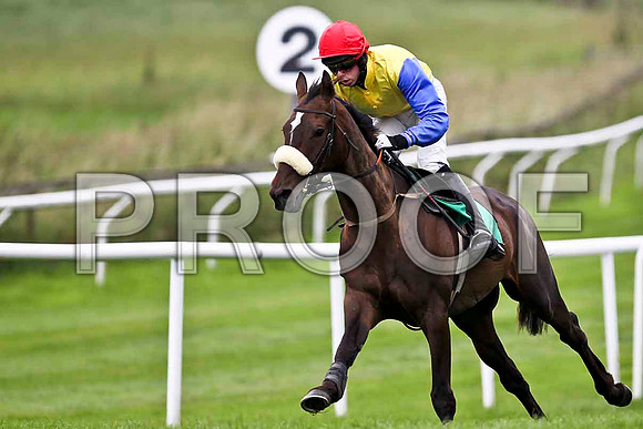 High Talk 5th, Jockey P D Kennedy - FT8E1741-e