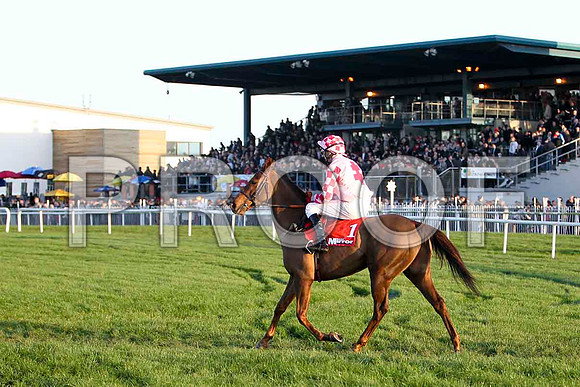 Ask The Farmer - 12th , Jockey Mr C S McGuinnness - FT8E7292-e