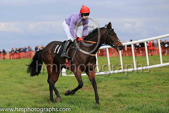 CAVIAR D'ALLEN (FR) and R James ( 11 , PURPLE,yellow diamond; purple sleeves; red cap ) Trainer: P.M.J. Doyle,, Owner : Mary Doyle