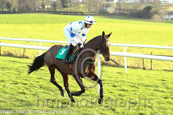 03 Definite Elegance & D G Hogan - 3rd (3, white, royal blue stars) - CU2D9536-2