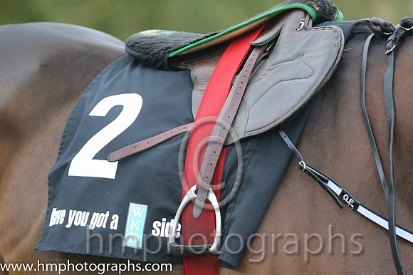 07 Tiger Roll and B J Cooper - PU - 07th (2 ,maroon white star ) Trainer - G Elliott