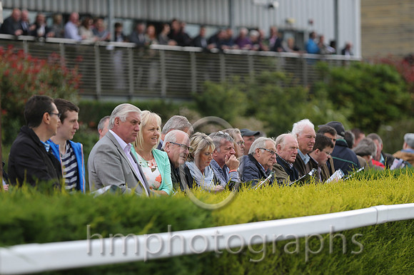 Parade Ring at Down Royal
