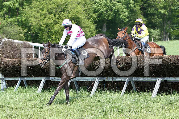 First Race - On the Arthur (9) 2nd, Rider B G Crawford & Filbert Fox (8) Fell, Rider R M Johnson - CU2D9529-e