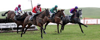 FT8E3486-ea-R5-Ballybrack Dancer