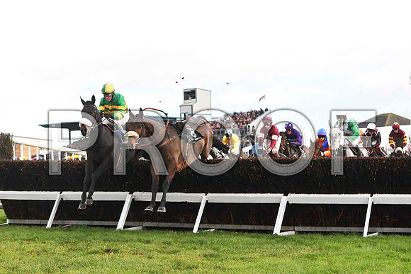 Darling Harbour , Jockey D J Casey - Winner - in the lead , Riderless Horse (8) On Gossamer Wings -  FT8E4881-e2