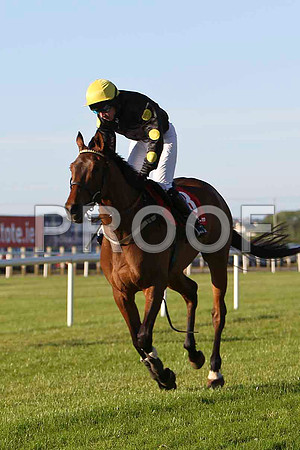 Head Waiter 8th, Jockey A P Thornton- CU2D0177-e