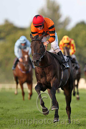Windsor Pride & C D Hayes - Winner (12, Orange, Black star) - CU2D3444-e2