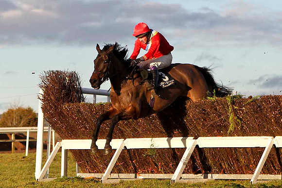 Derravarra Bay 2nd , Jockey E F Power - CU2D3265-e