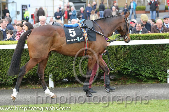 05 Wicklow Brave and P Townend - - 05th (5 ,purple, orange seams ) Trainer - W P Mullins