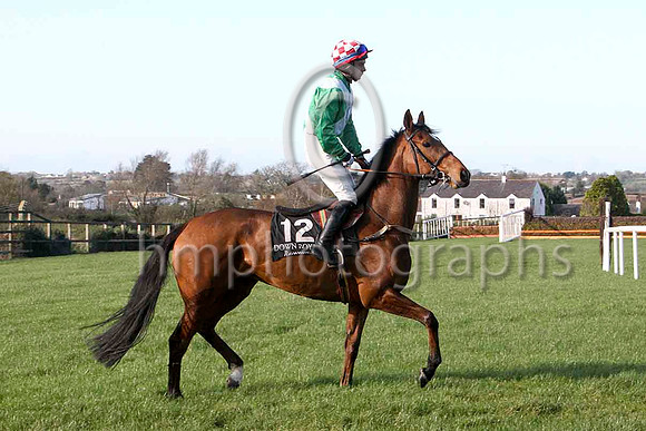 Crannagh , 13th - Jockey A P Thornton - FT8E6397-e