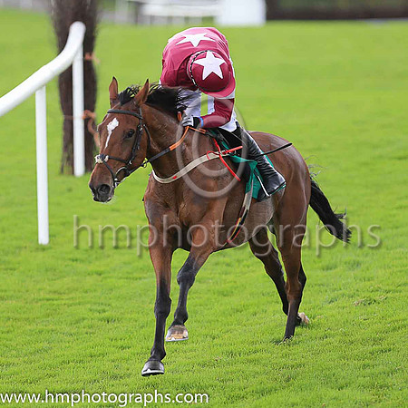 01st Marinero and B J Cooper ( 2 , maroon, white star ) Trainer - H de Bromhead , Owner - Gigginstown House Stud