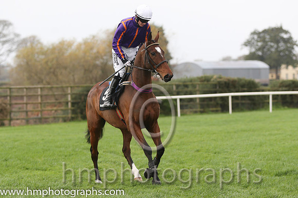 05 Wicklow Brave and P Townend - - 05th (5 ,purple, orange seams ) Trainer - W P Mullins