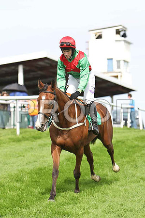 Raheenwood Unseated Rider, Jockey Mr B T O'Connell - CU2D1732-e