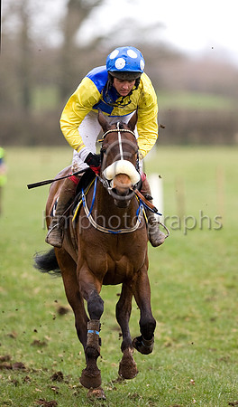 Fourth Race - Ruby Ruby Rubay 4th - _MG_5016-e3a4j