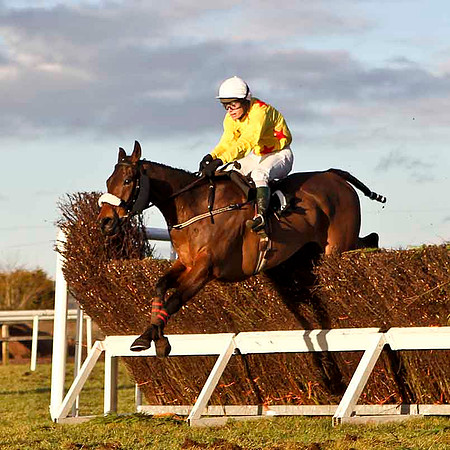 Hidden Crack (Yellow)  - Winner, Jockey S E Butler - CU2D3249-e2CU2D3262-e