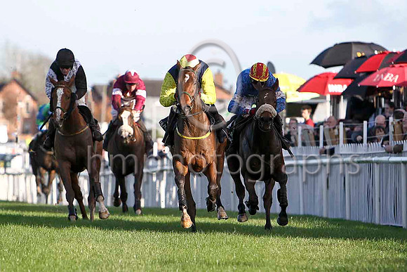 Leroy Parker 3rd, His Excellency 4th, Blue Cannon Winner & Experimentalist 2nd - FT8E6426-e