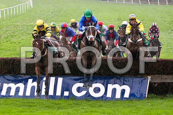 Blarney Highwayman , 8th - Jockey R J Jones leads the group - FT8E5349-e2