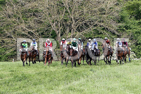 Fifth Race Div 2 - Alabama Baby (10) Winner, Rider B F Brabazon - 3rd from right black and amber stripes - CU2D9681-e