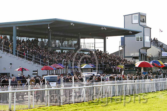 Down Royal Garnd Stand - FT8E8001-e