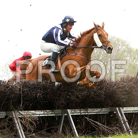 Tierna's Flight , 5th , Jockey J D Moore - FT8E2597-e2
