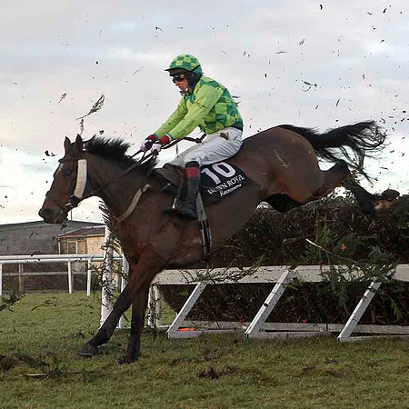 Fiery Oscar Fell, Jockey M P Butler - CU2D3259-e