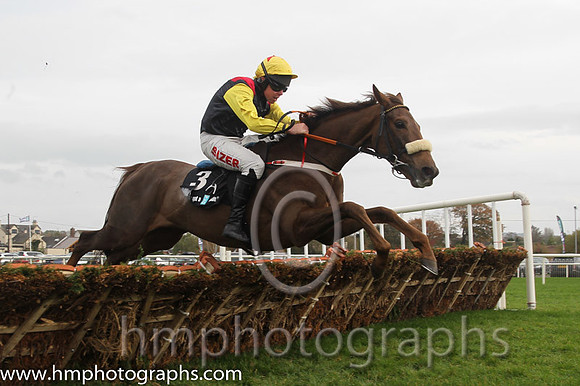 04 King of the Picts and A E Lynch - - 04th (3 ,black, red epaulettes ) Trainer - J P Shanahan