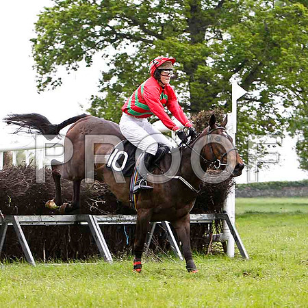 Educated Guess , 7th, Jockey Ms C V Annan  - FT8E2605-e