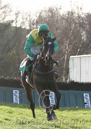 Green Diesel & Mr P J Cawley - 5th (5, yellow, emerald green sash) - FT8E1237-62