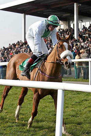 Couleur De La Loi - 8th, Jockey R J Jones - FT8E0440-e