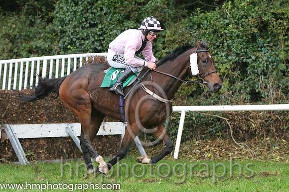 06 Molinero and P T Enright - - 06th (8 ,Pink, dark pink panel ) Trainer - J R Finn
