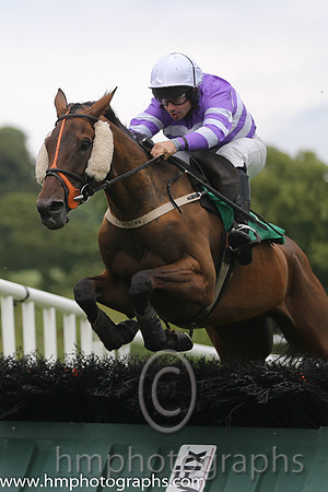 02 Dancing Roe & A P Crowe - 2nd (1, purple and white hoops) - AA1V0706-2